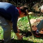 Áquila realiza Mutirão de plantio de árvores, contribuindo para a melhoria das mudanças globais do clima