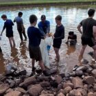 Pesca rústica com o tradicional “arrastão”