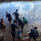 Pesca rústica com o tradicional “arrastão”