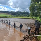 Pesca rústica com o tradicional “arrastão”